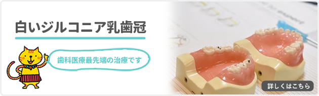 乳歯冠の適応例